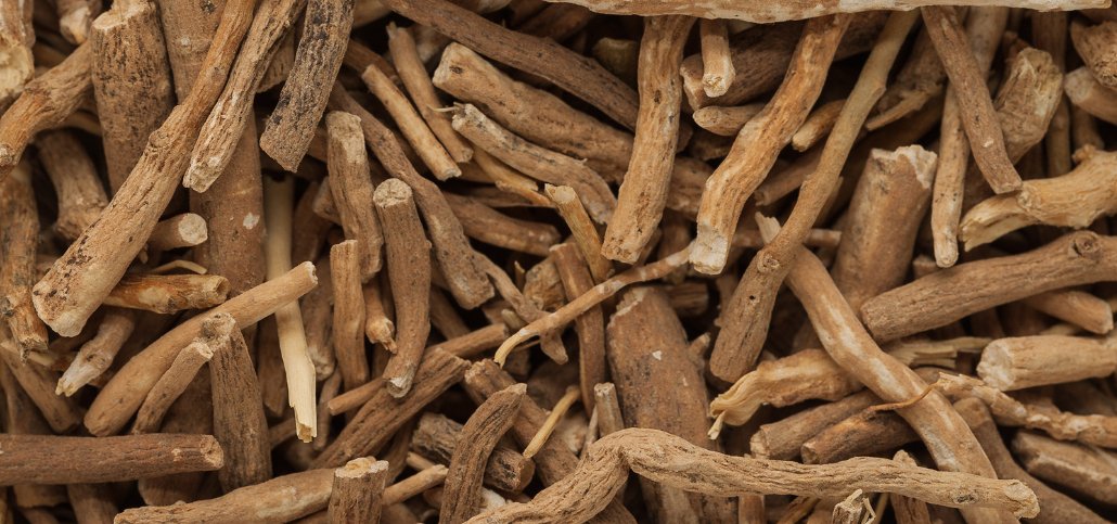 Ashwagandha: Harnessing the Power of an Ancient Herb - Herba