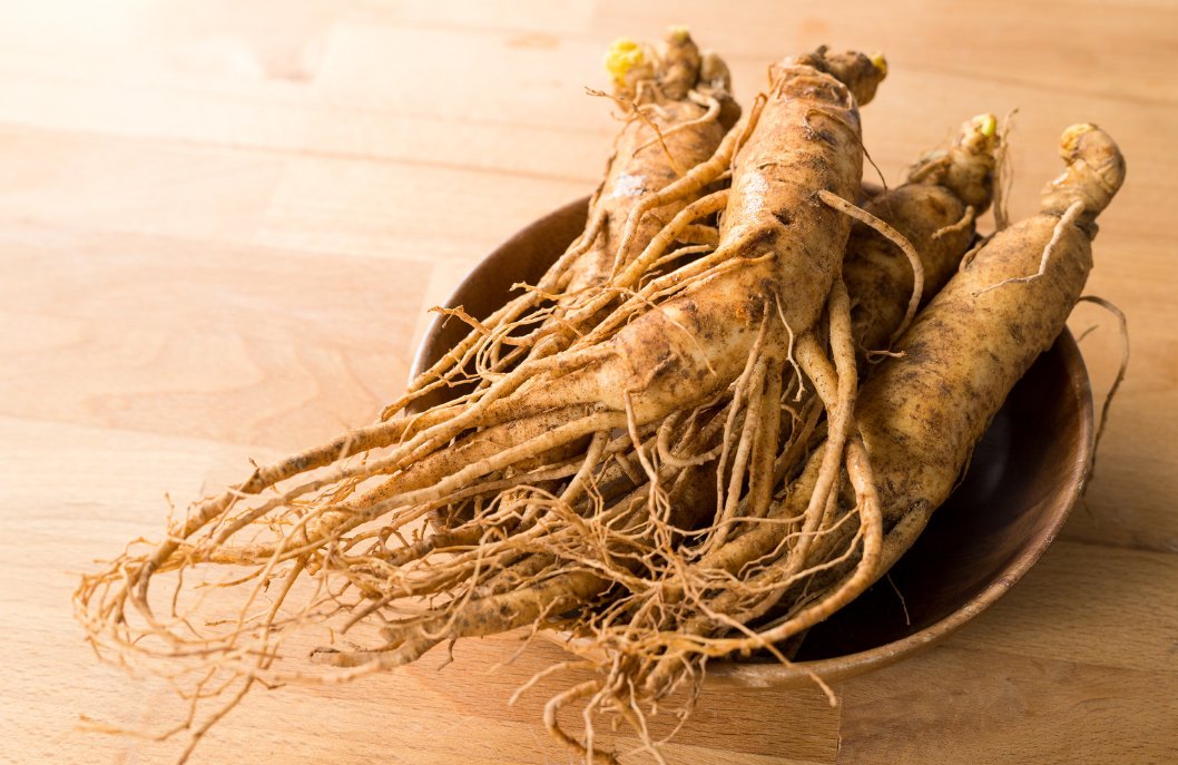 Korean Red Ginseng: Ancient Root, Modern Wellness Potential - Herba