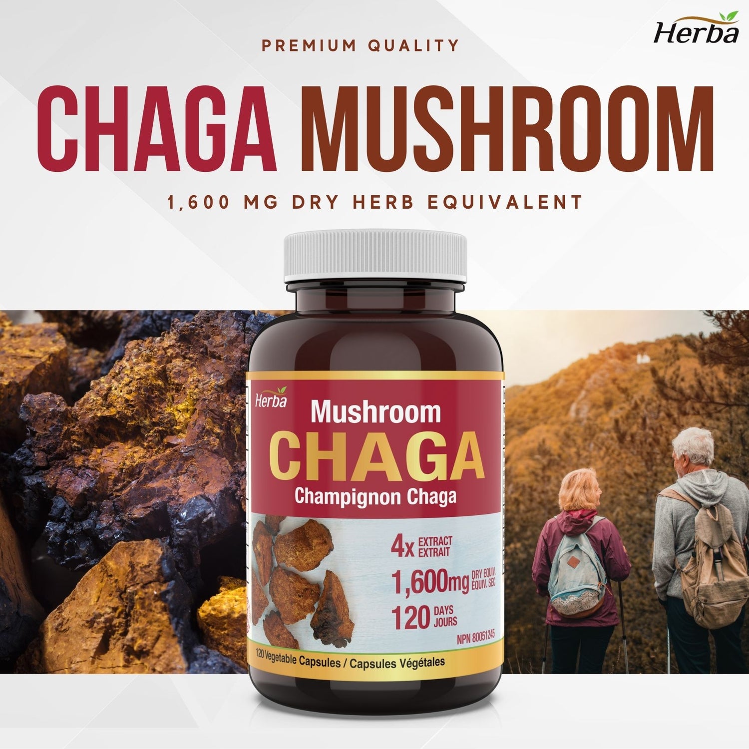 Chaga Mushroom Capsules 400mg - 120 Vegetable Capsules | 4:1 High Concentrate