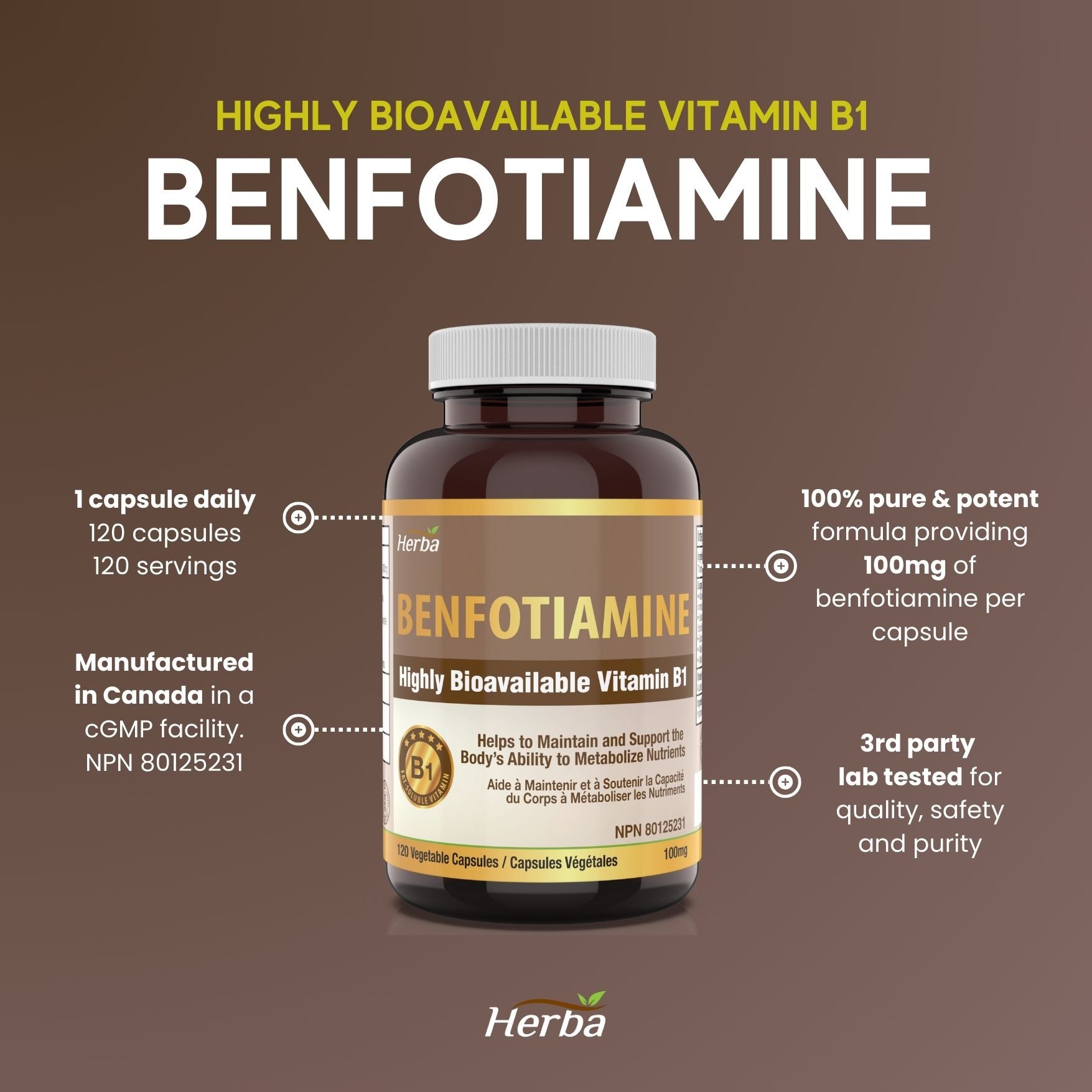 Benfotiamine 100mg - 120 Capsules | Fat Soluble Vitamin B1 | Made in Canada