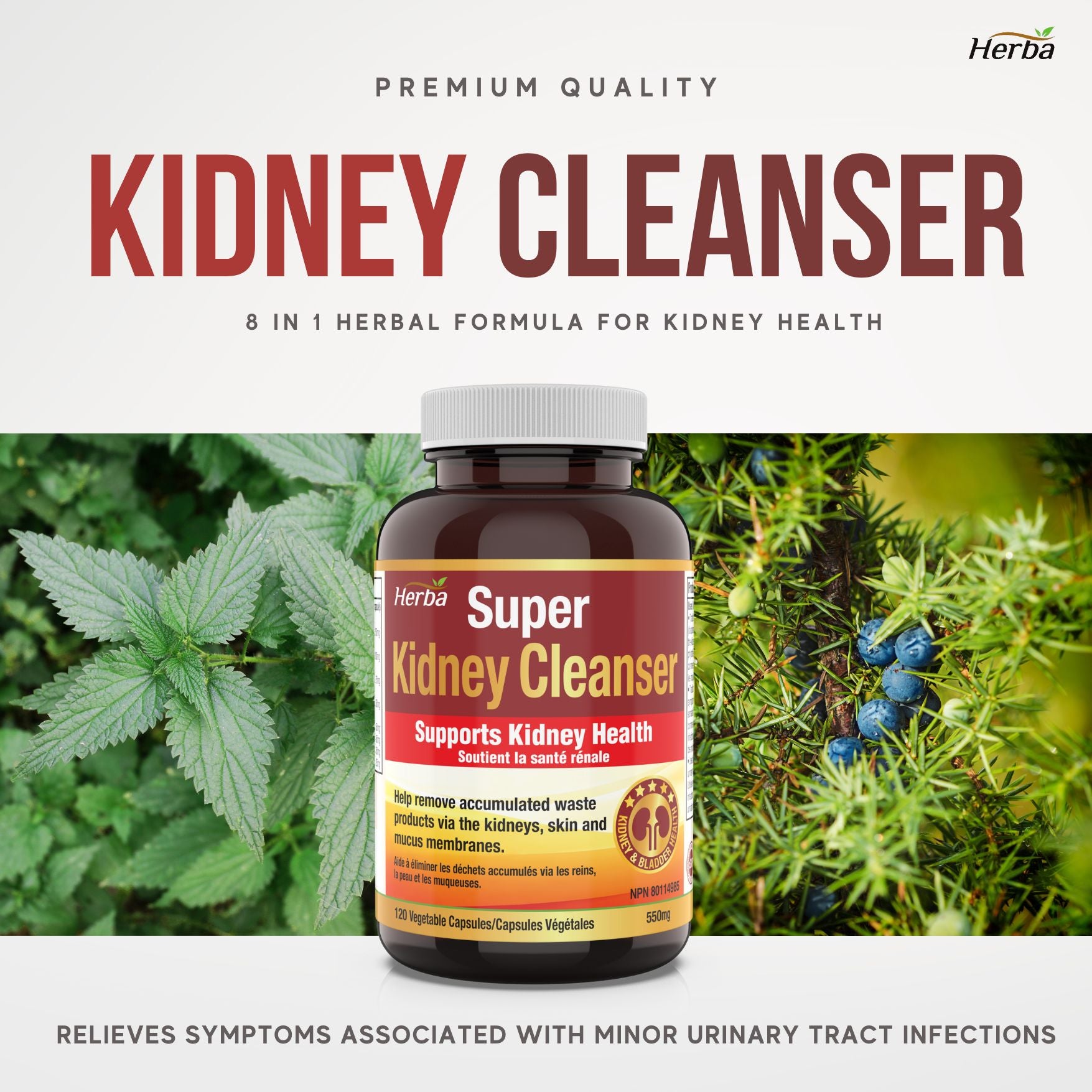 Kidney Cleanse Supplement – 120 Capsules | 8 Natural Ingredients to Detox and Support Kidney and Bladder Health