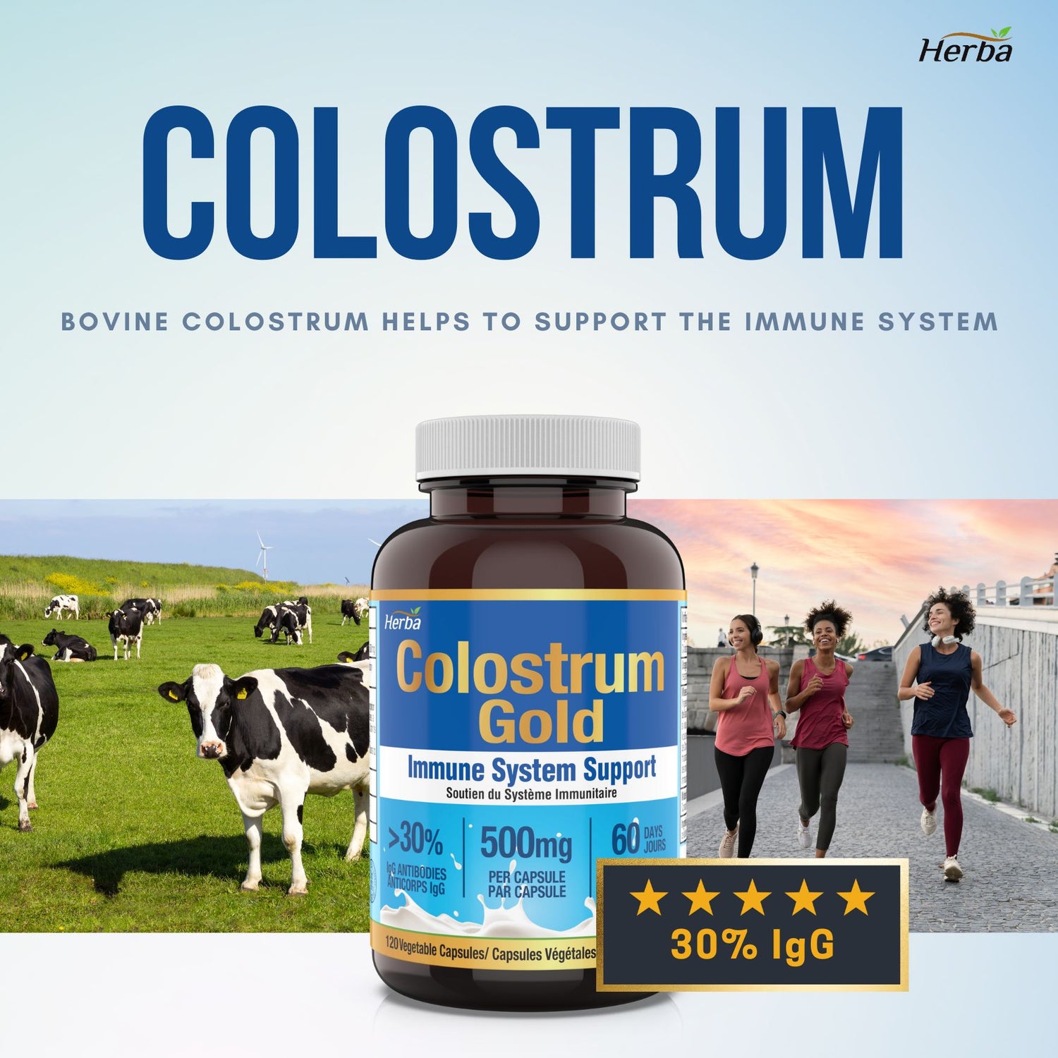 Suppléments de colostrum bovin 500 mg - 120 gélules | Riche en lactoferrine et immunoglobulines | 30 % d&