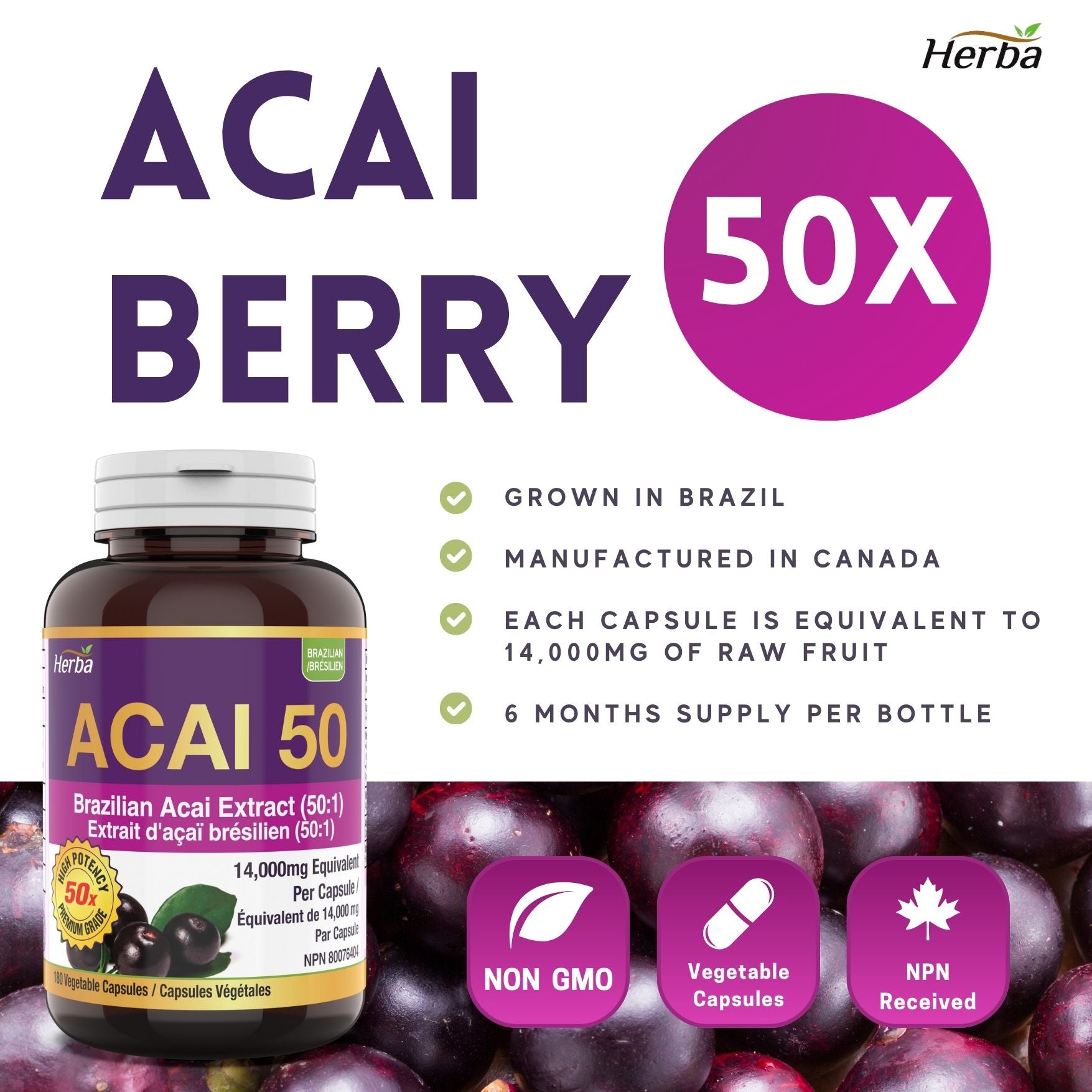 Acai Berry Capsules – 180 Vegetable Capsules | 14,000mg Equivalent - 50:1 Extract