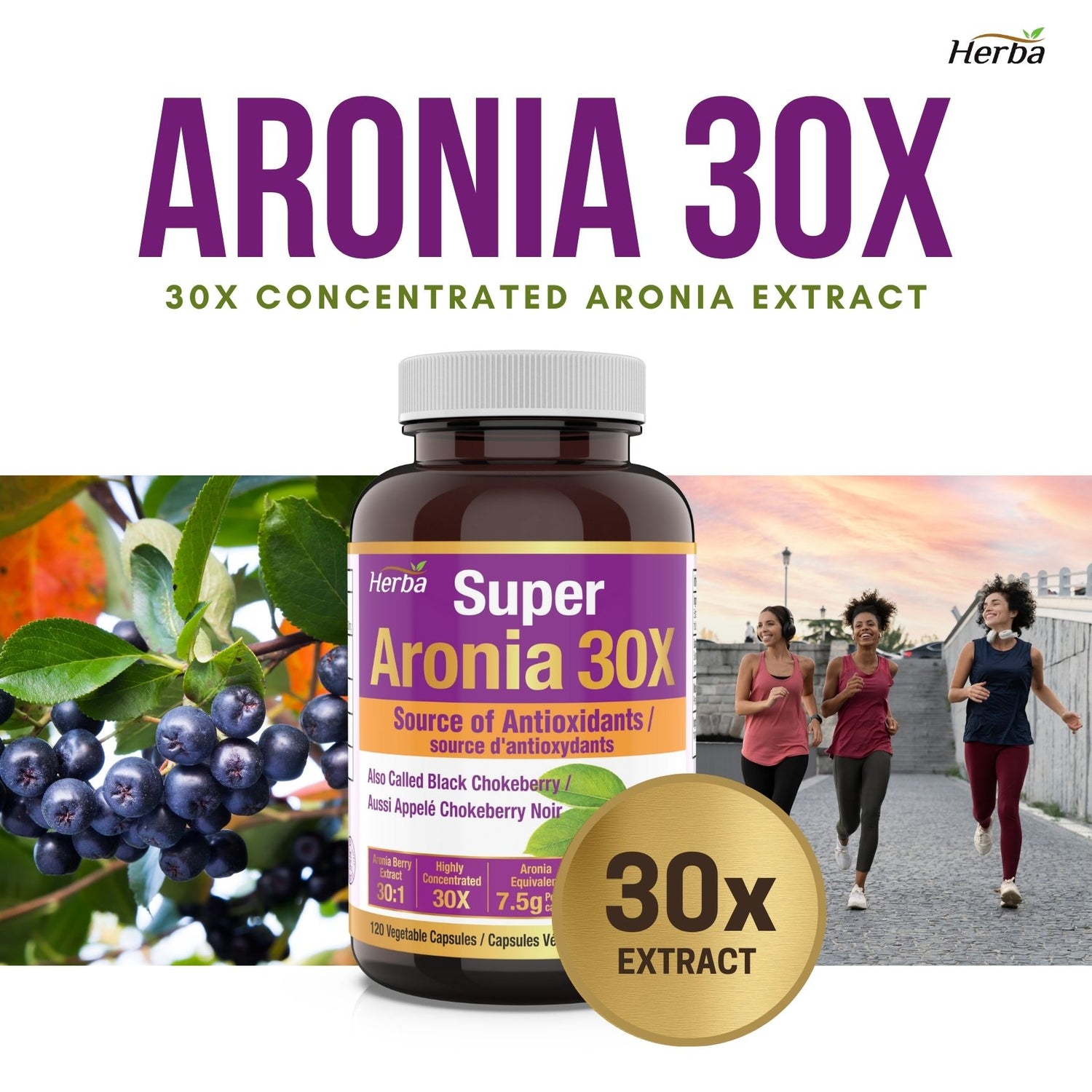 Aronia Berry Extract 250mg – 120 Capsules | 7500mg Fruit Equivalent | 30:1 Aronia Extract Supplement