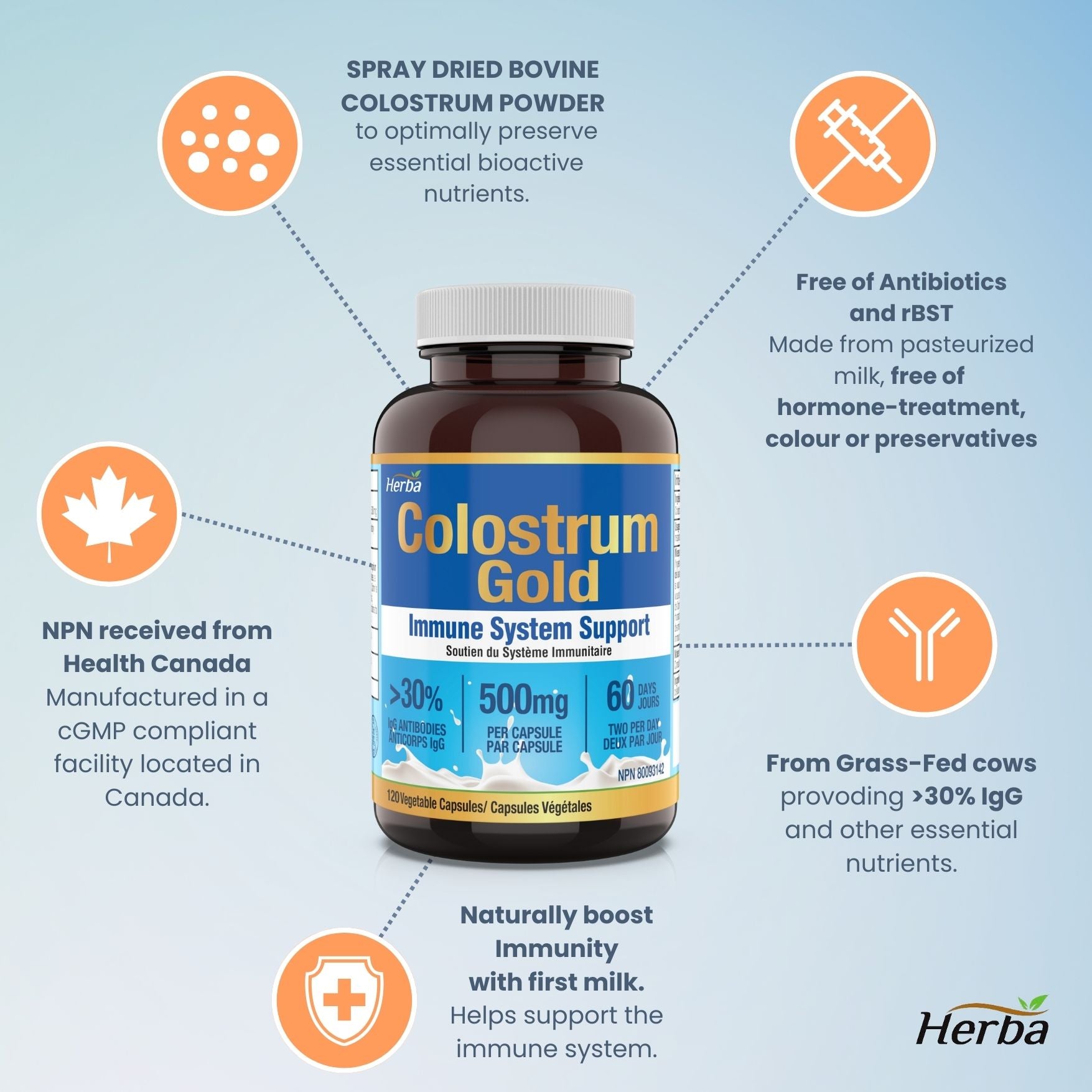 Bovine Colostrum Supplements 500mg - 120 Capsules | Rich in Lactoferrin and Immunoglobulins | 30% IgG