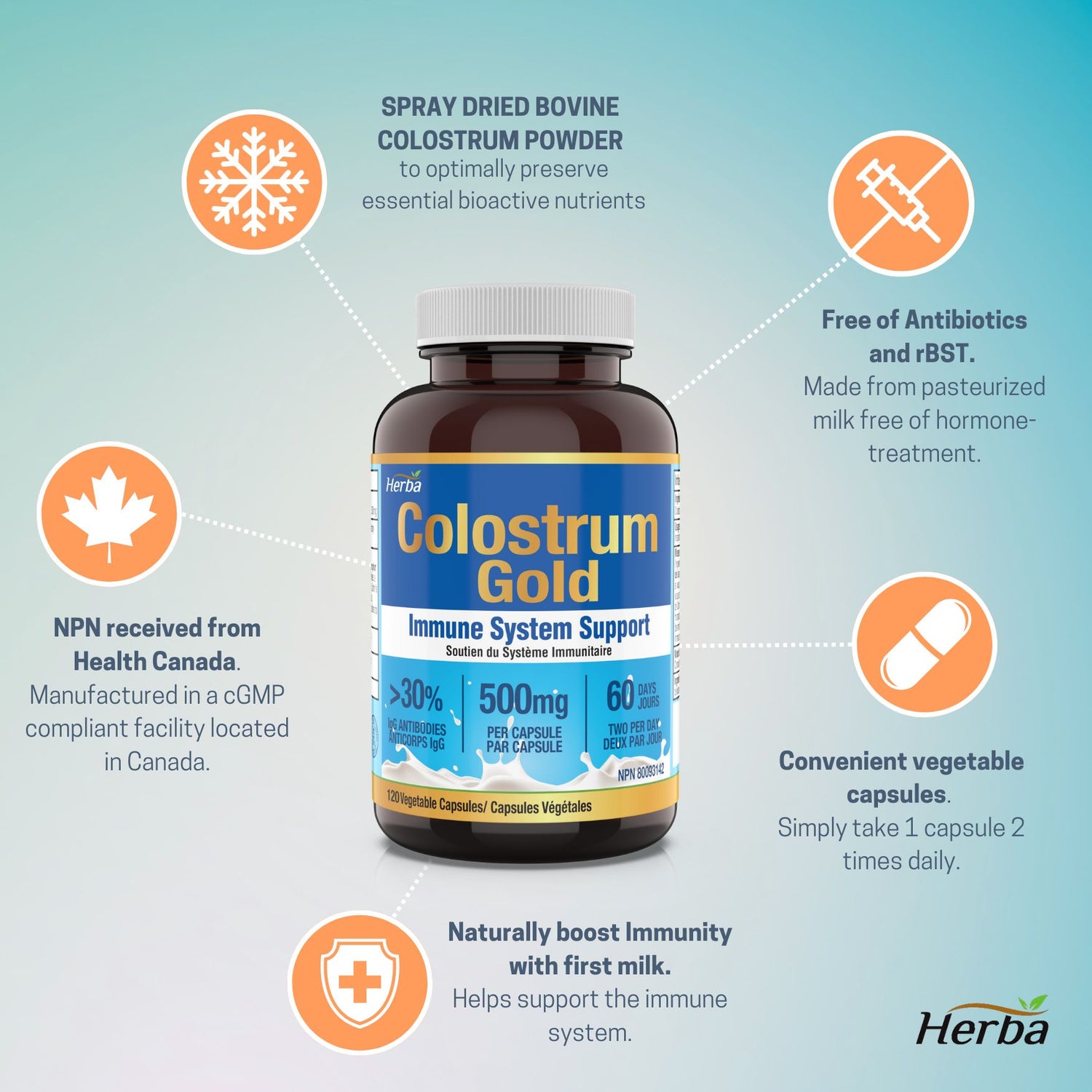 Suppléments de colostrum bovin 500 mg - 120 gélules | Riche en lactoferrine et immunoglobulines | 30 % d&