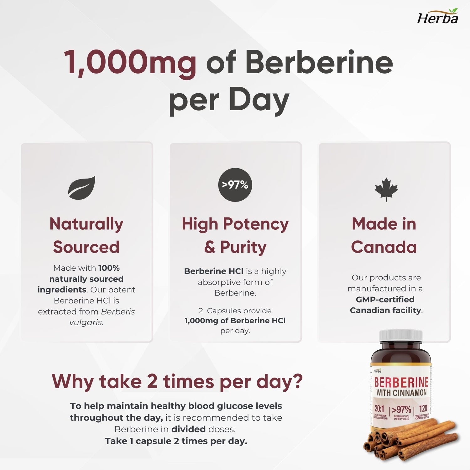 Berberine Supplement with Ceylon Cinnamon – 120 Capsules | Berberine 1000mg (per serving) | Made in Canada