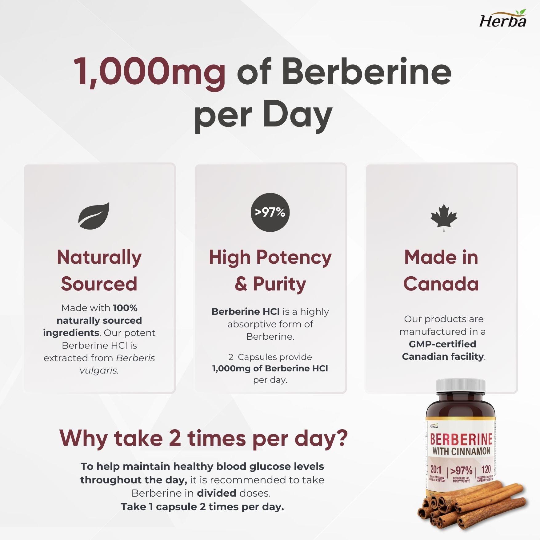 Supplément de Berbérine à la Cannelle de Ceylan – 120 Gélules | Bérberine 1000mg (par portion) | Fabriqué au Canada