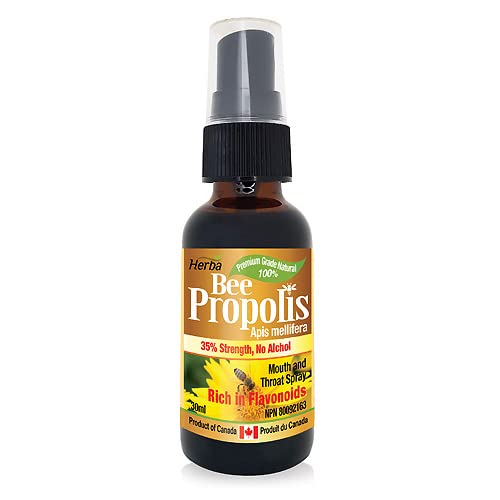 Bee Propolis Spray 30ml - No Alcohol