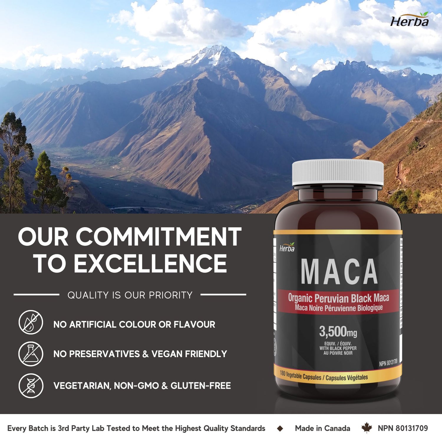 Organic Black Maca Capsules - 3500mg, 180 Capsules | Peruvian Black Maca | Made in Canada