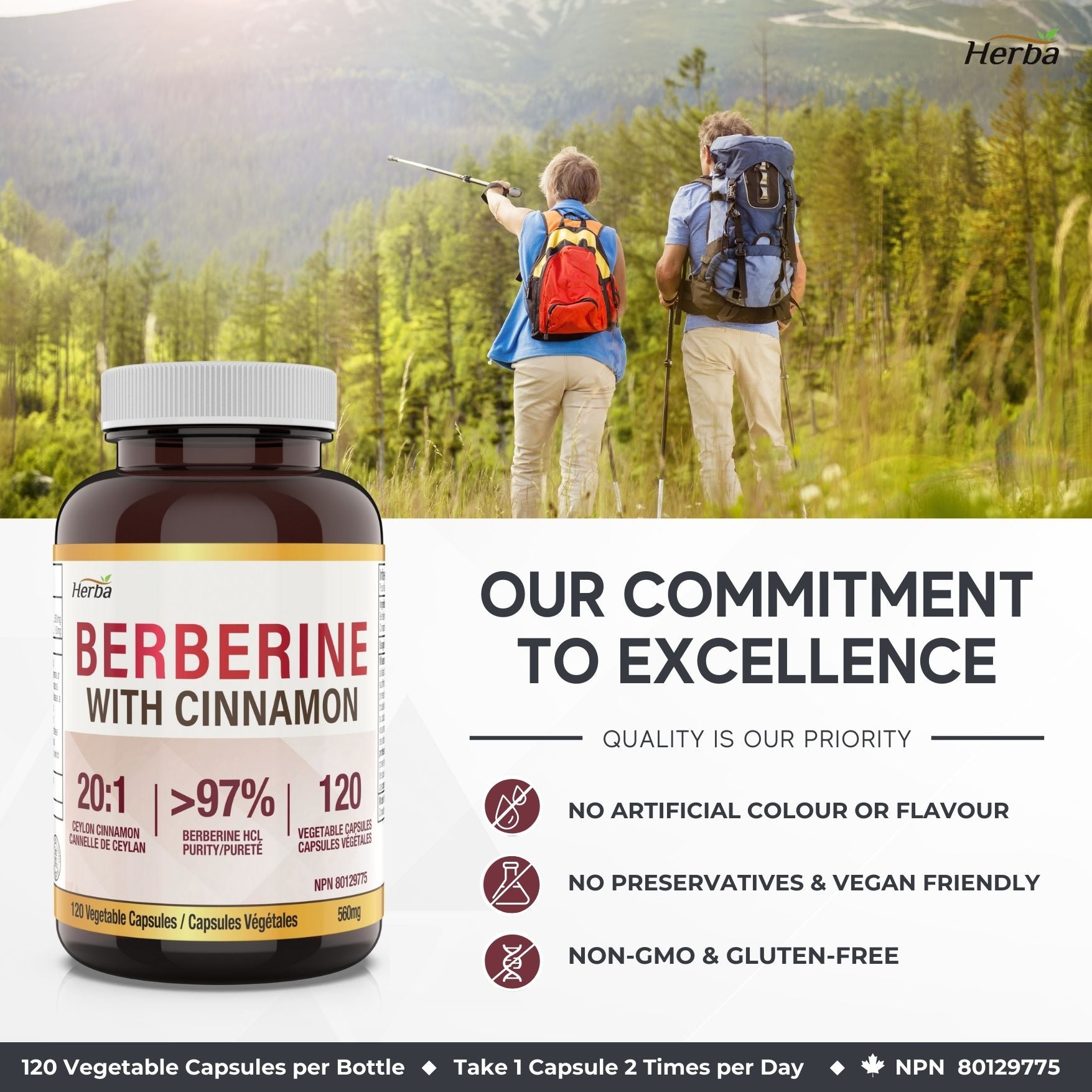 Supplément de Berbérine à la Cannelle de Ceylan – 120 Gélules | Bérberine 1000mg (par portion) | Fabriqué au Canada