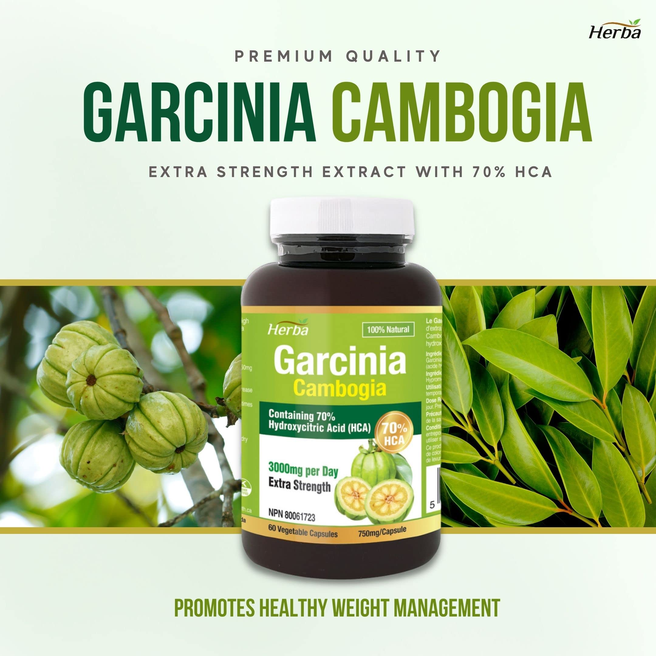 Garcinia cambogia for hair health