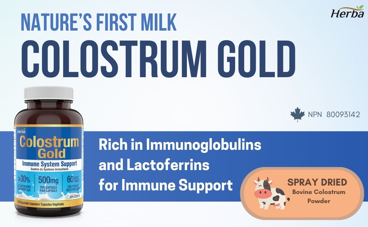 Suppléments de colostrum bovin 500 mg - 120 gélules | Riche en lactoferrine et immunoglobulines | 30 % d&