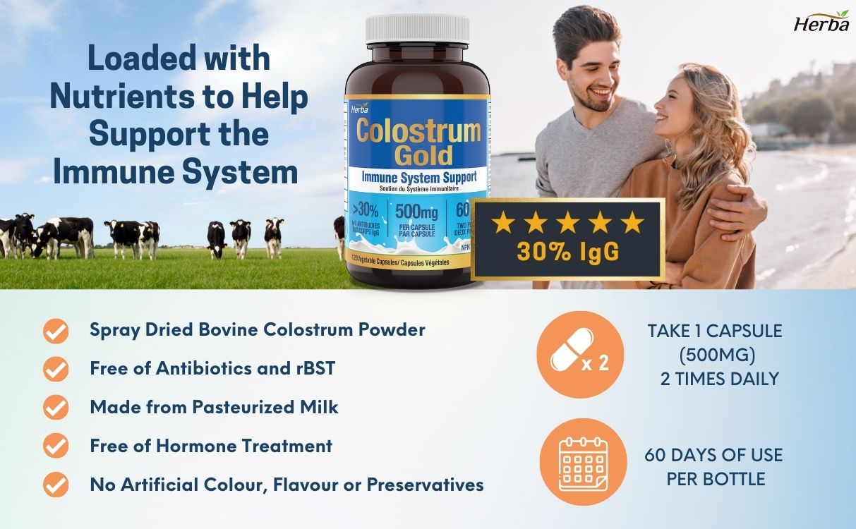 Suppléments de colostrum bovin 500 mg - 120 gélules | Riche en lactoferrine et immunoglobulines | 30 % d&