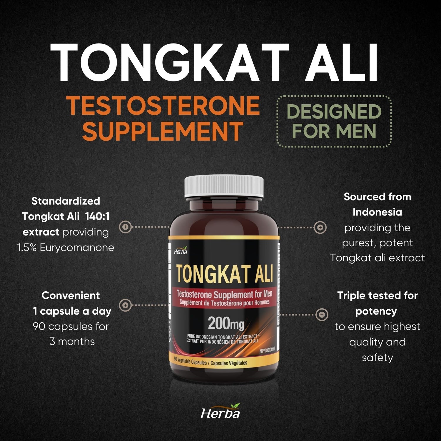 Supplément pur Tongkat Ali pour hommes 200 mg – 90 gélules | Extrait indonésien de Tongkat-ali | Fabriqué au Canada