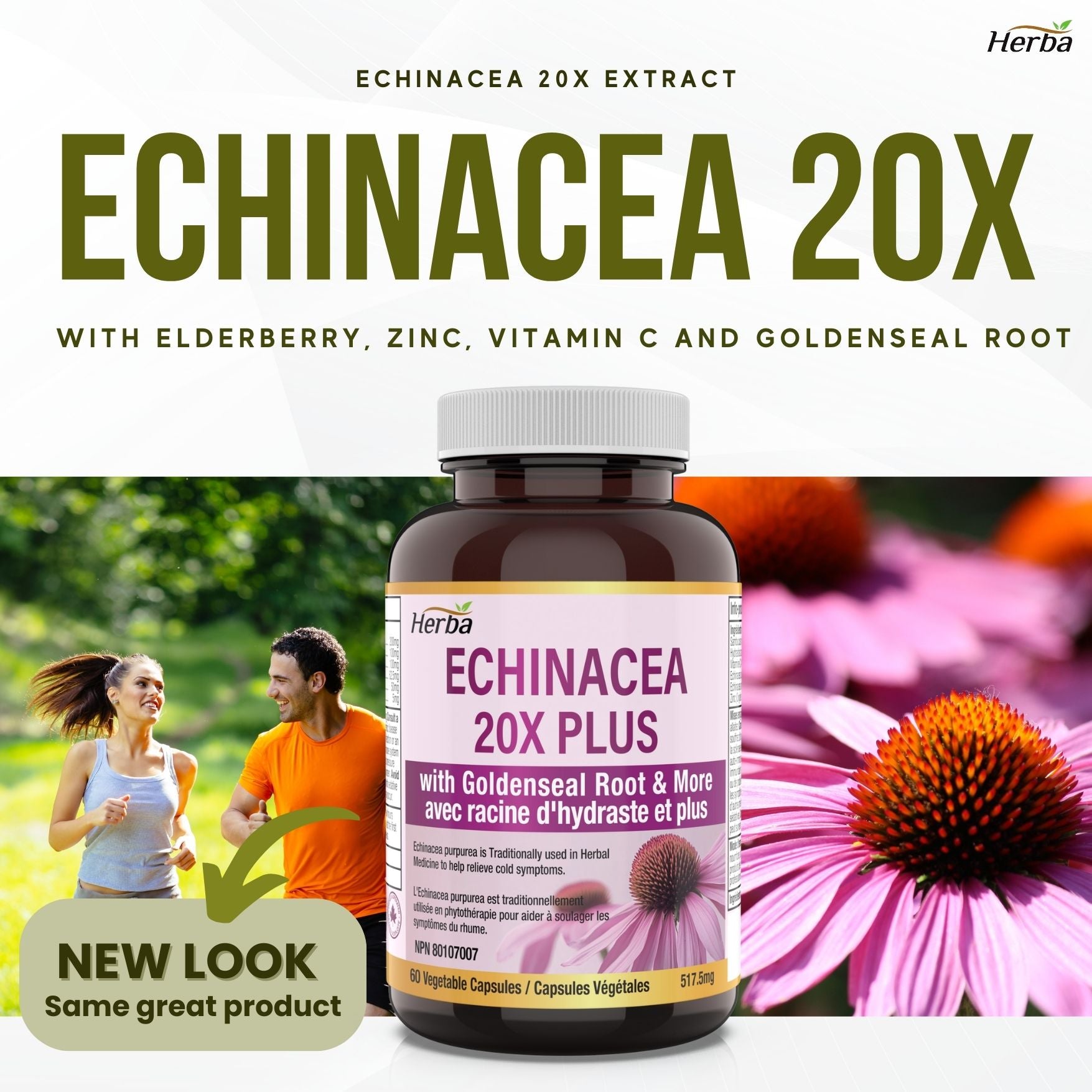 Echinacea Capsules – 60 Vegetable Capsules | 4500mg of Echinacea Per Day