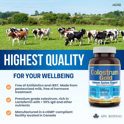 Bovine Colostrum Supplements 500mg - 120 Capsules | Rich in Lactoferrin and Immunoglobulins | 30% IgG