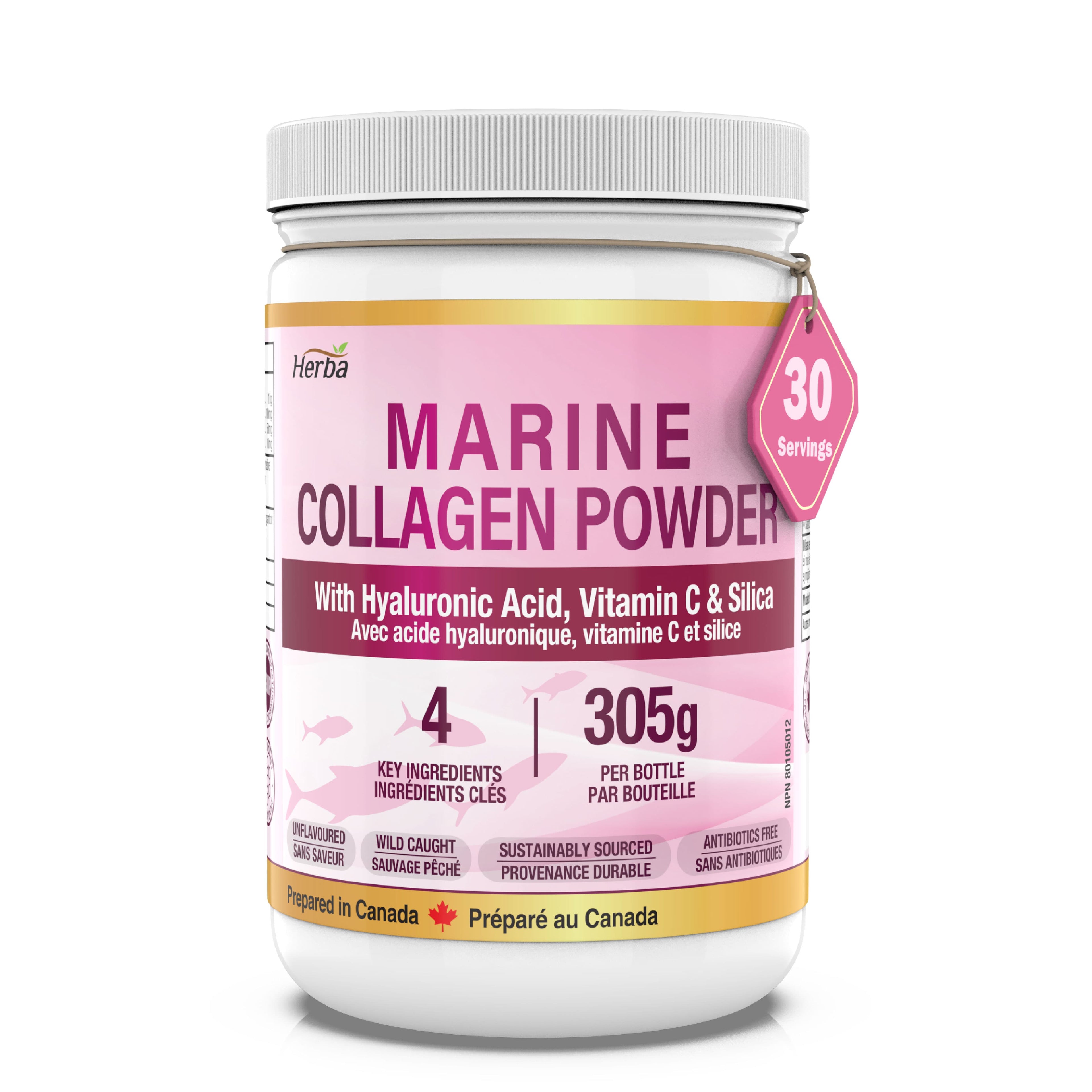 Poudre de Collagène Marin avec Acide Hyaluronique, Silice et Vitamine C – 305g (Nouveau)