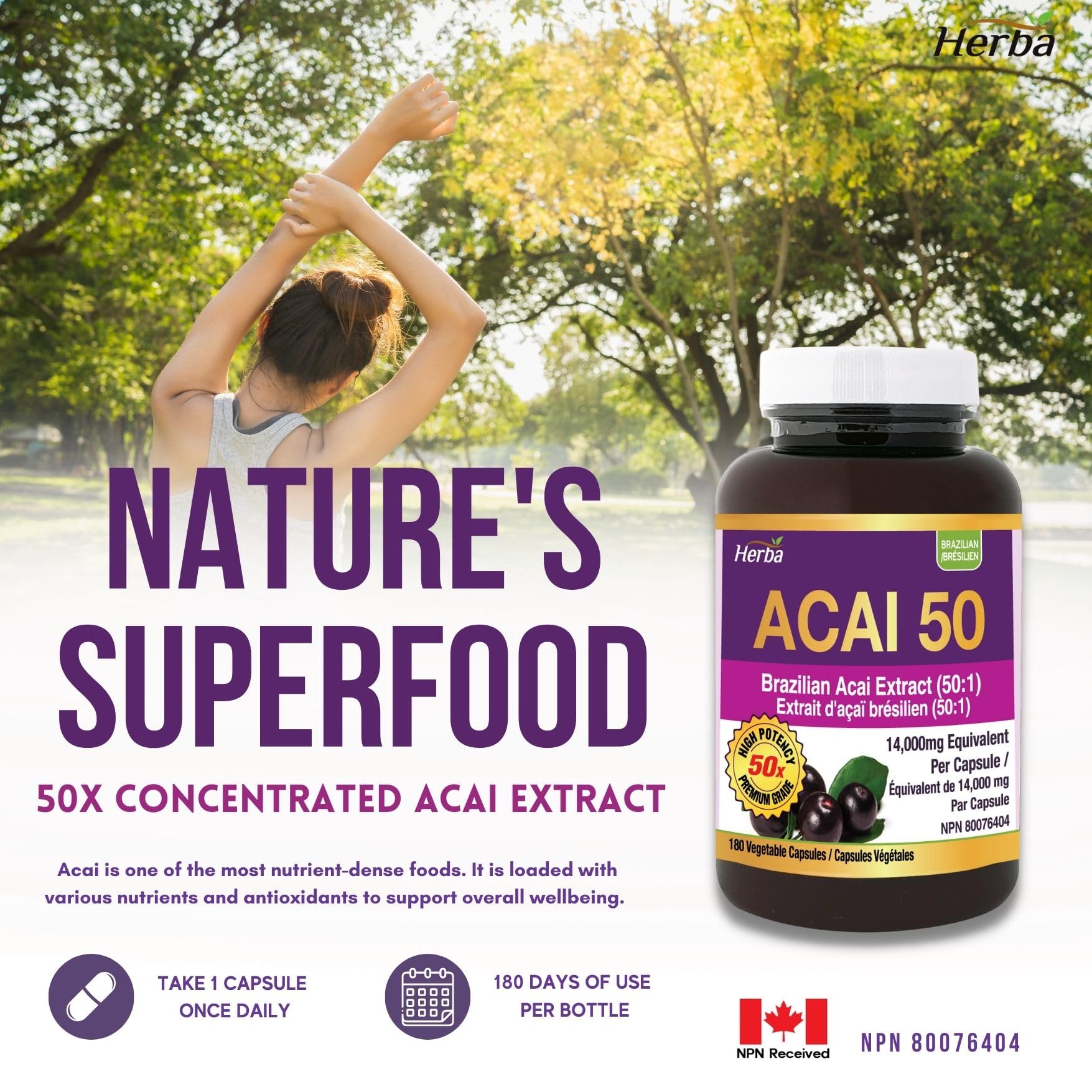 Acai Berry Capsules – 180 Vegetable Capsules | 14,000mg Equivalent - 50:1 Extract - Herba