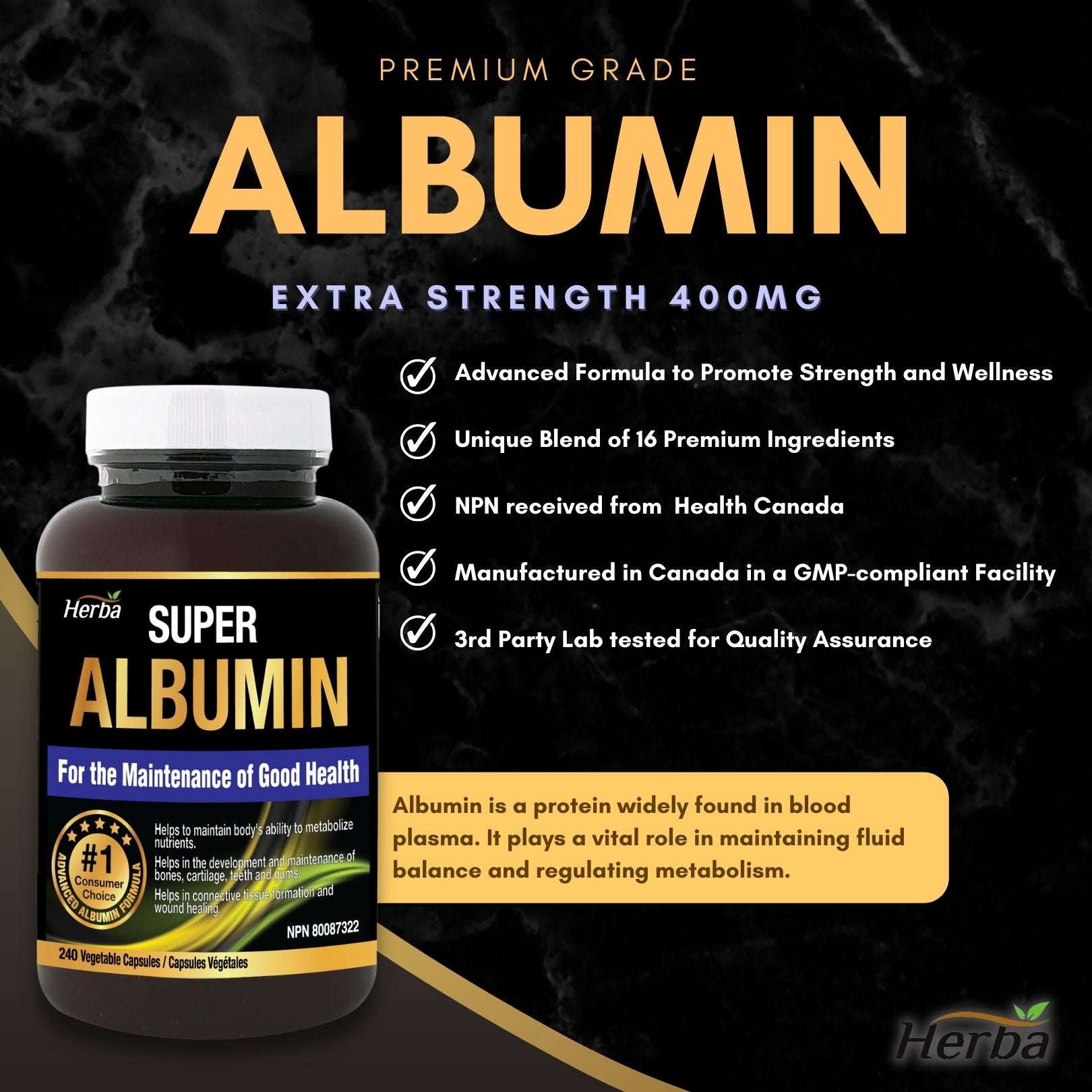 Albumin Protein Supplement – 240 Vegetable Capsules | Albumin Capsules with 16 Ingredients Including Deer Antler &amp; Royal Jelly - Herba