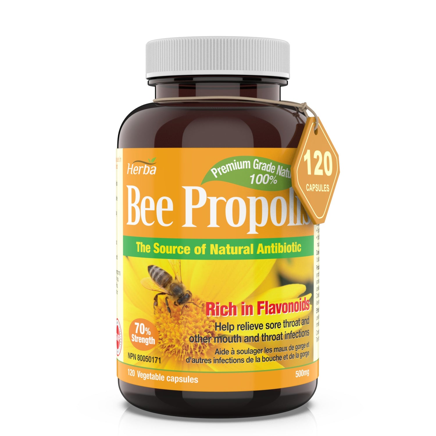 Bee Propolis Capsules 500mg - 120 Capsules - Herba