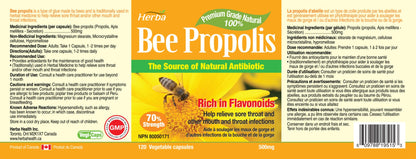 Bee Propolis Capsules 500mg - 120 Capsules - Herba