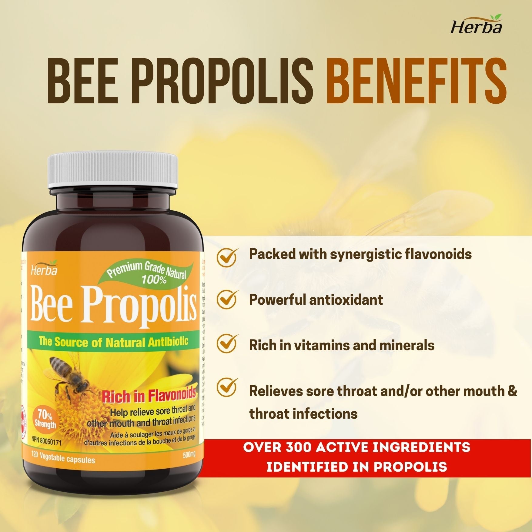 Bee Propolis Capsules 500mg - 120 Capsules - Herba