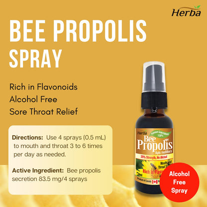 Bee Propolis Spray 30ml - No Alcohol - Herba