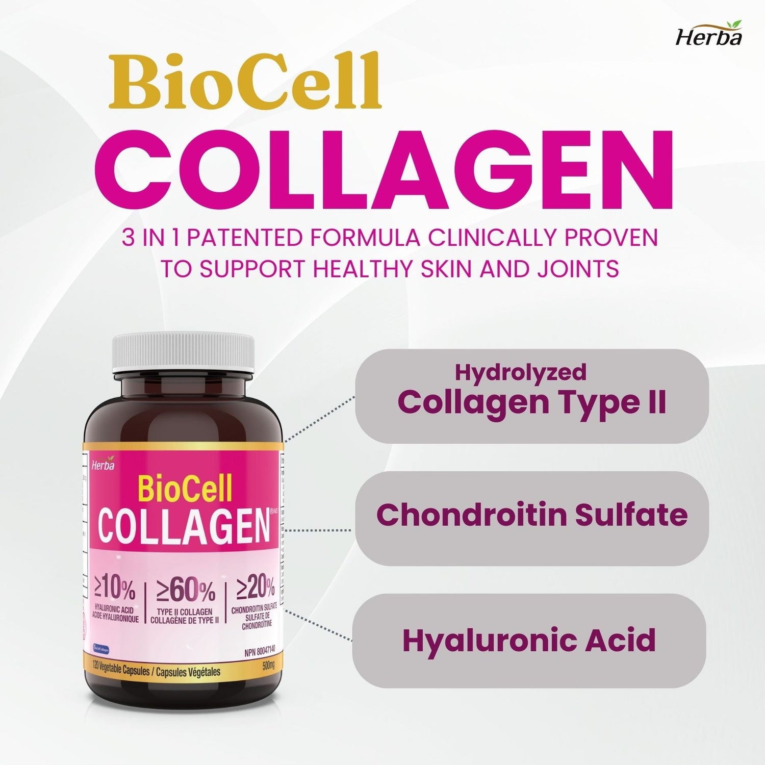 BioCell Collagen, 120 Vegetable Capsules - Herba