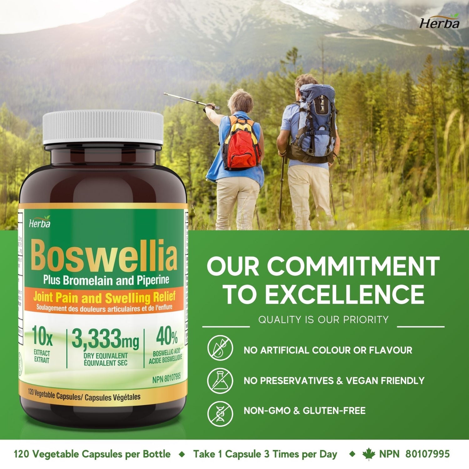 Boswellia Serrata Capsules with Bromelain Supplement - 120 Capsules - Herba