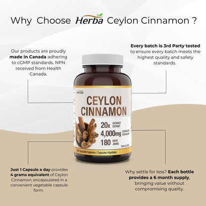 Ceylon Cinnamon Capsules 4000mg - 180 Vegetable Capsules | 20:1 Extract | Made in Canada - Herba