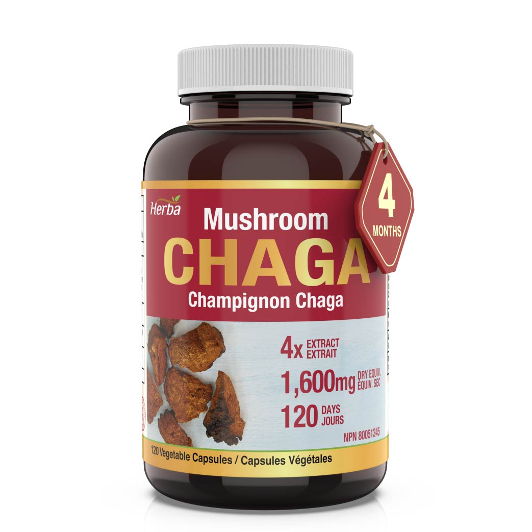 Chaga Mushroom Capsules 400mg - 120 Vegetable Capsules | 4:1 High Concentrate - Herba