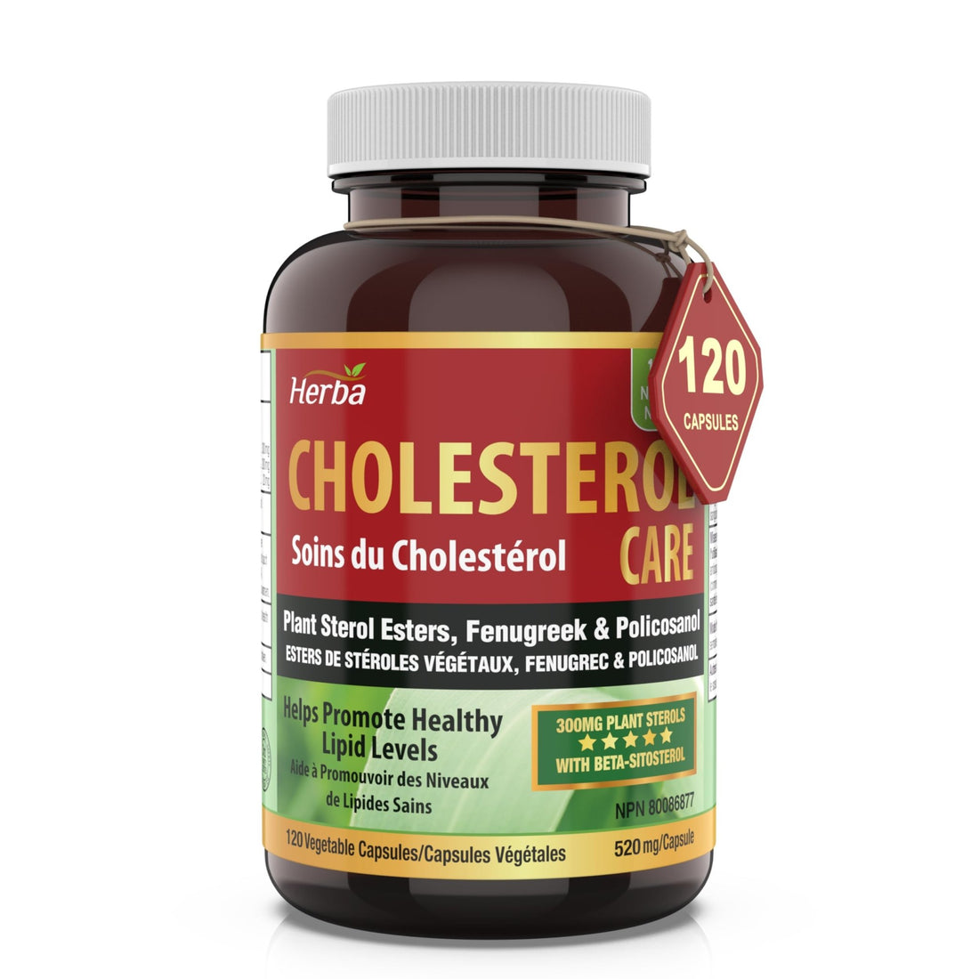 Cholesterol Care – 120 Vegetable Capsules - Herba