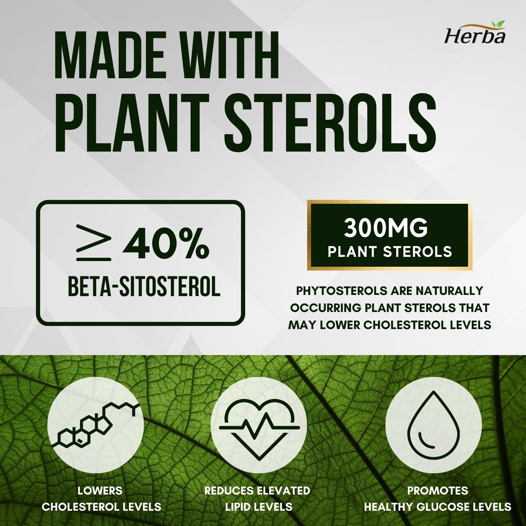 Cholesterol Care – 120 Vegetable Capsules - Herba