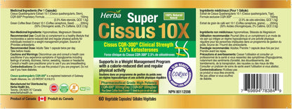 Cissus 10X Extract with Green Coffee Bean – 60 Capsules - Herba