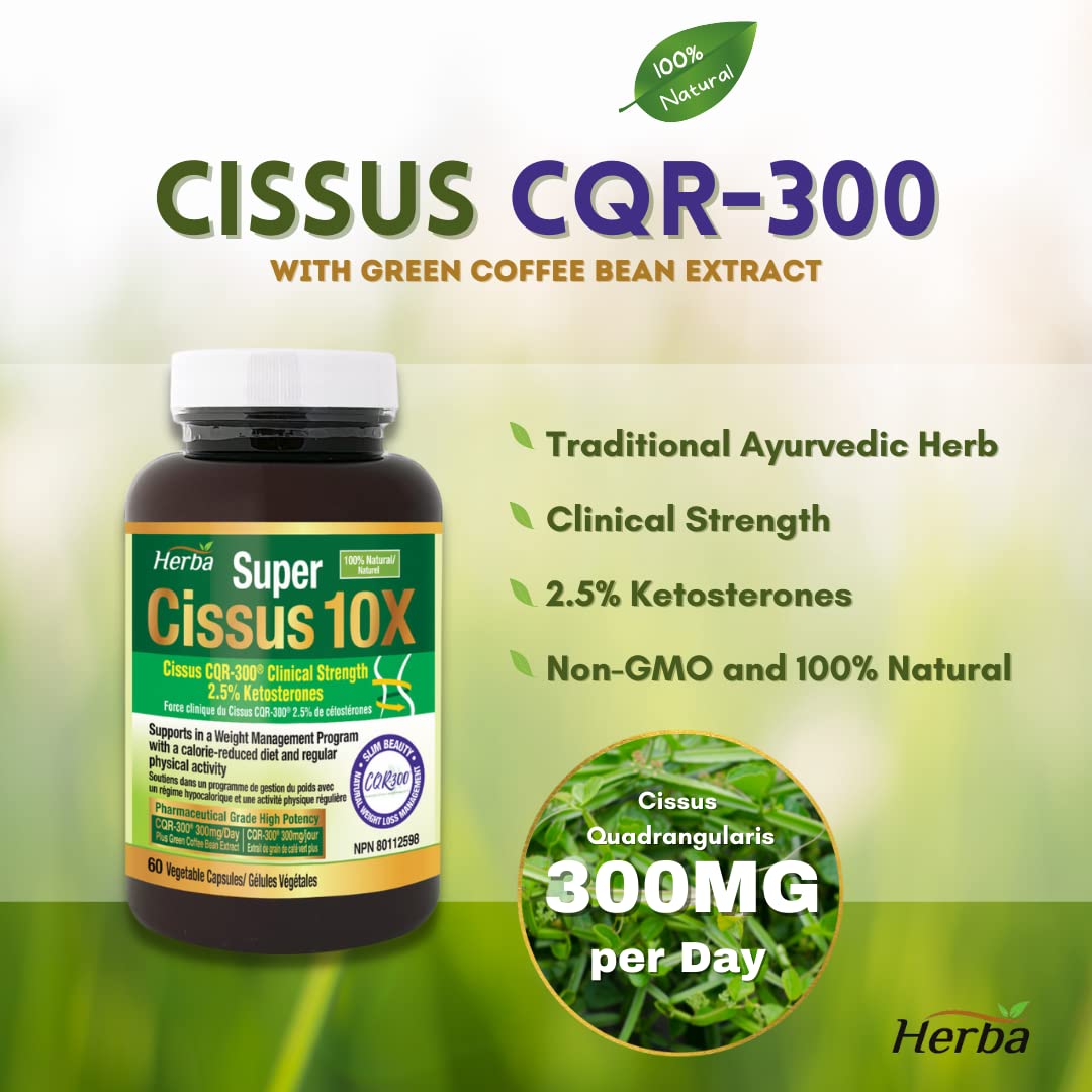 Cissus 10X Extract with Green Coffee Bean – 60 Capsules - Herba