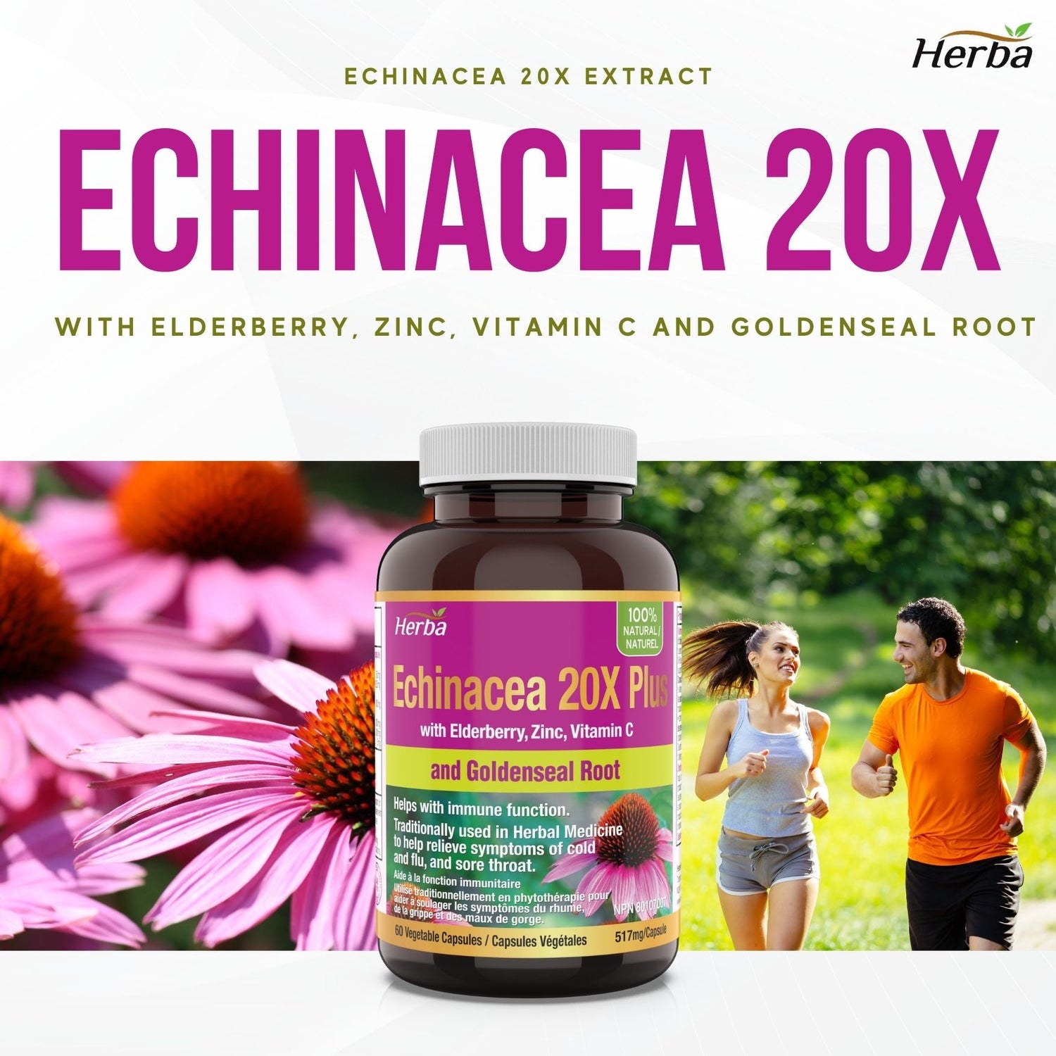 Echinacea Capsules – 60 Vegetable Capsules | 4500mg of Echinacea Per Day - Herba