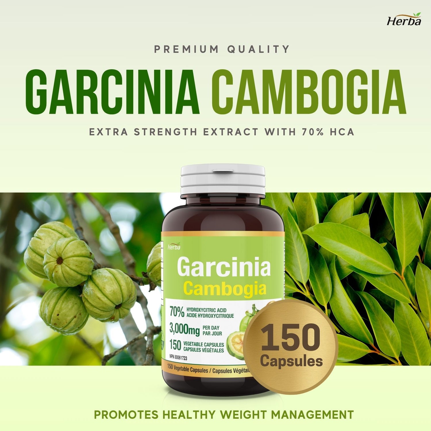 Extrait de Garcinia Cambogia - 70% HCA  | 150 capsules de légumes