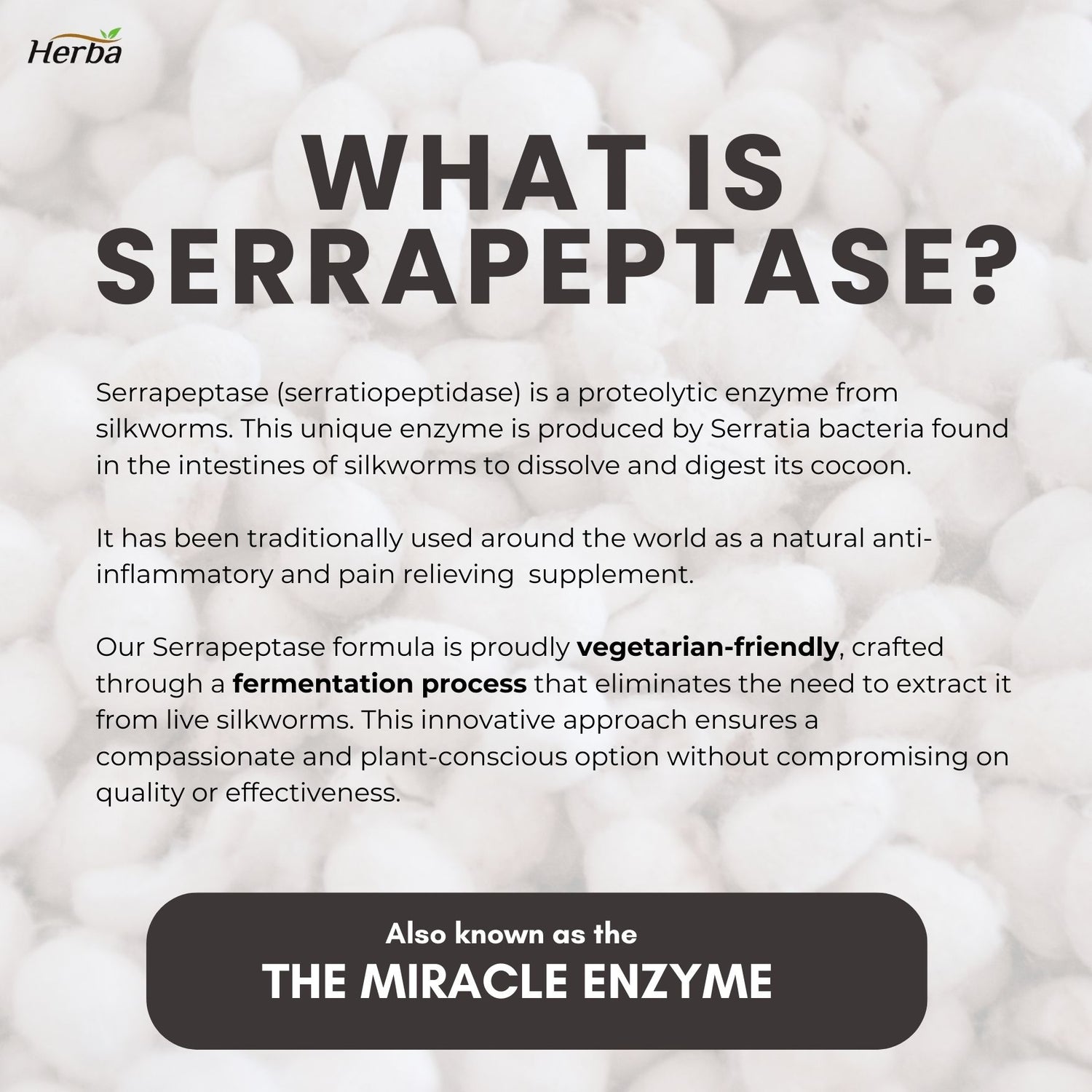 Serrapeptase 120,000 SU - 90 Vegetable Capsules