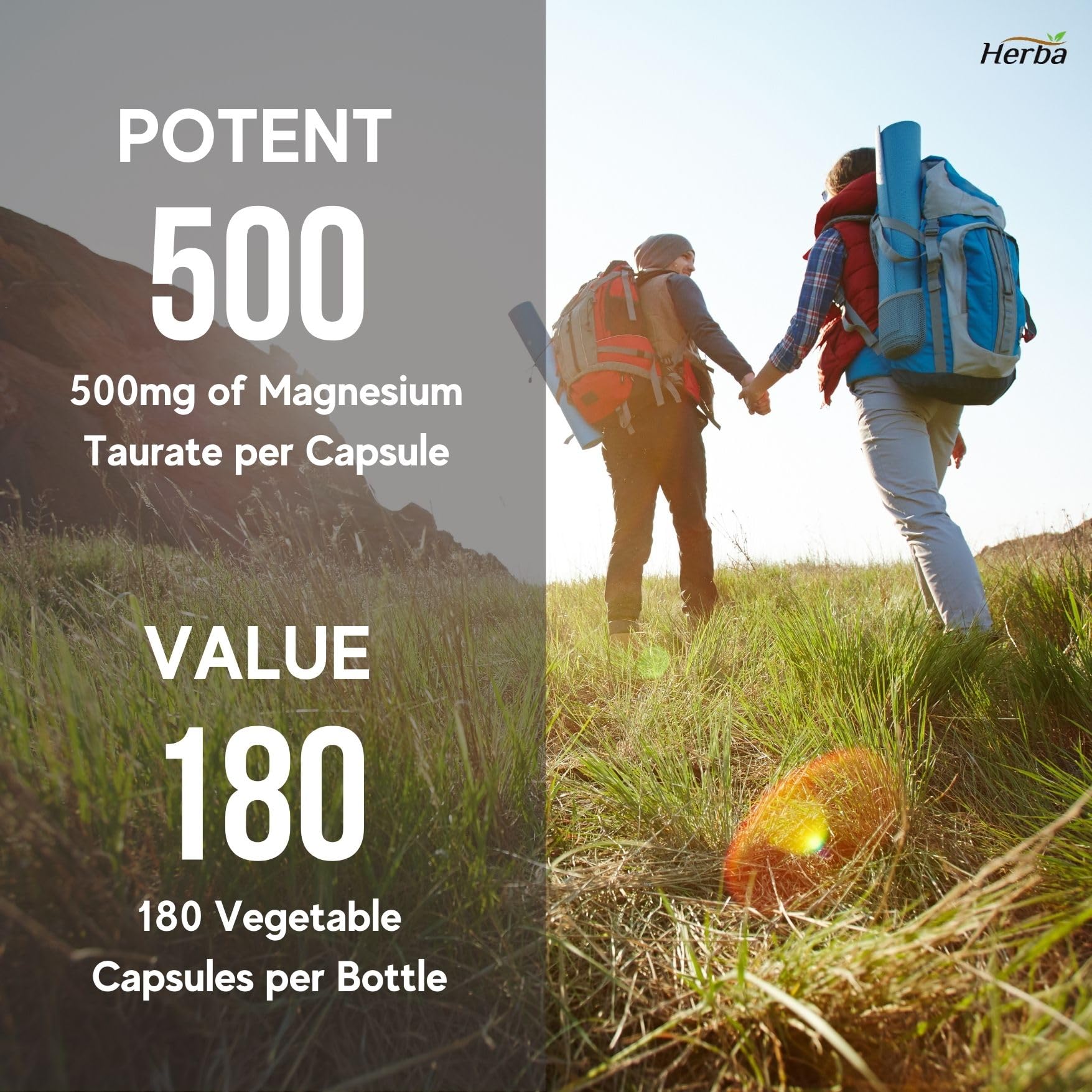 Magnesium Taurate Supplement 500mg - 180 Capsules | Made in Canada - Herba