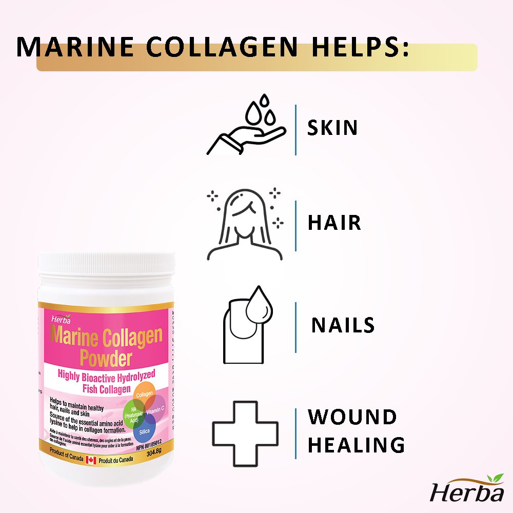 Marine Collagen Powder with Hyaluronic Acid, Silica, and Vitamin C – 304.8g - Herba