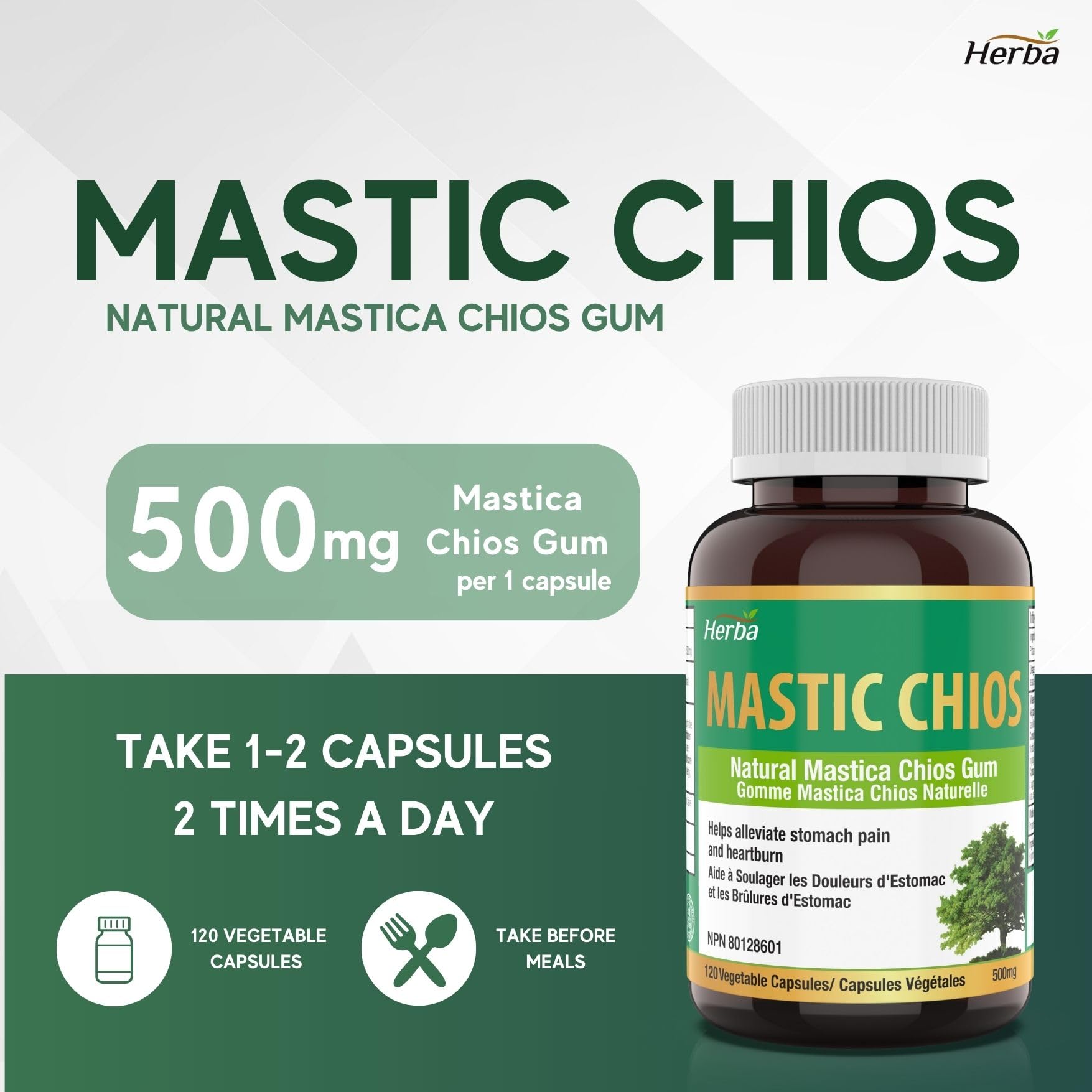 Mastic Gum 500mg - 120 Capsules | Made in Canada - Herba