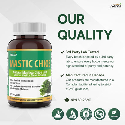 Mastic Gum 500mg - 120 Capsules | Made in Canada - Herba