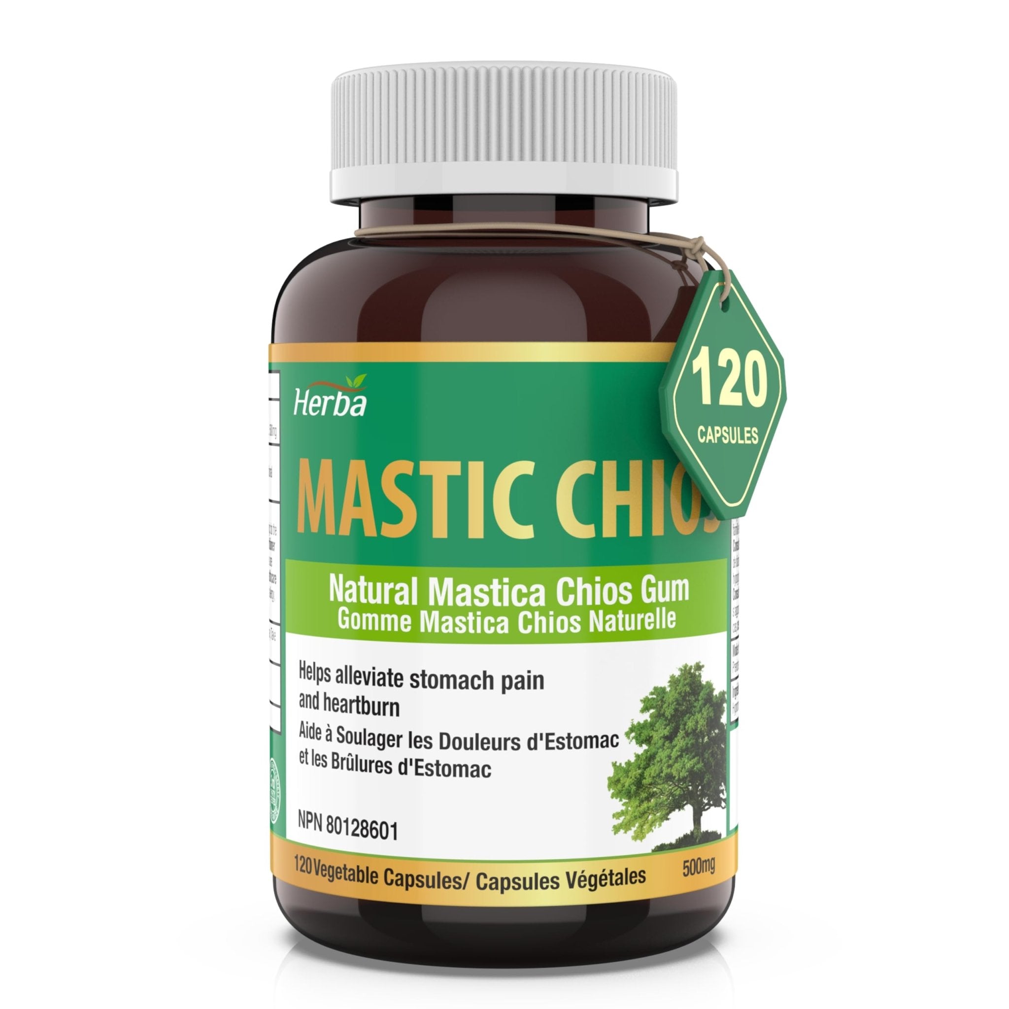 mastic gum digestive supplements