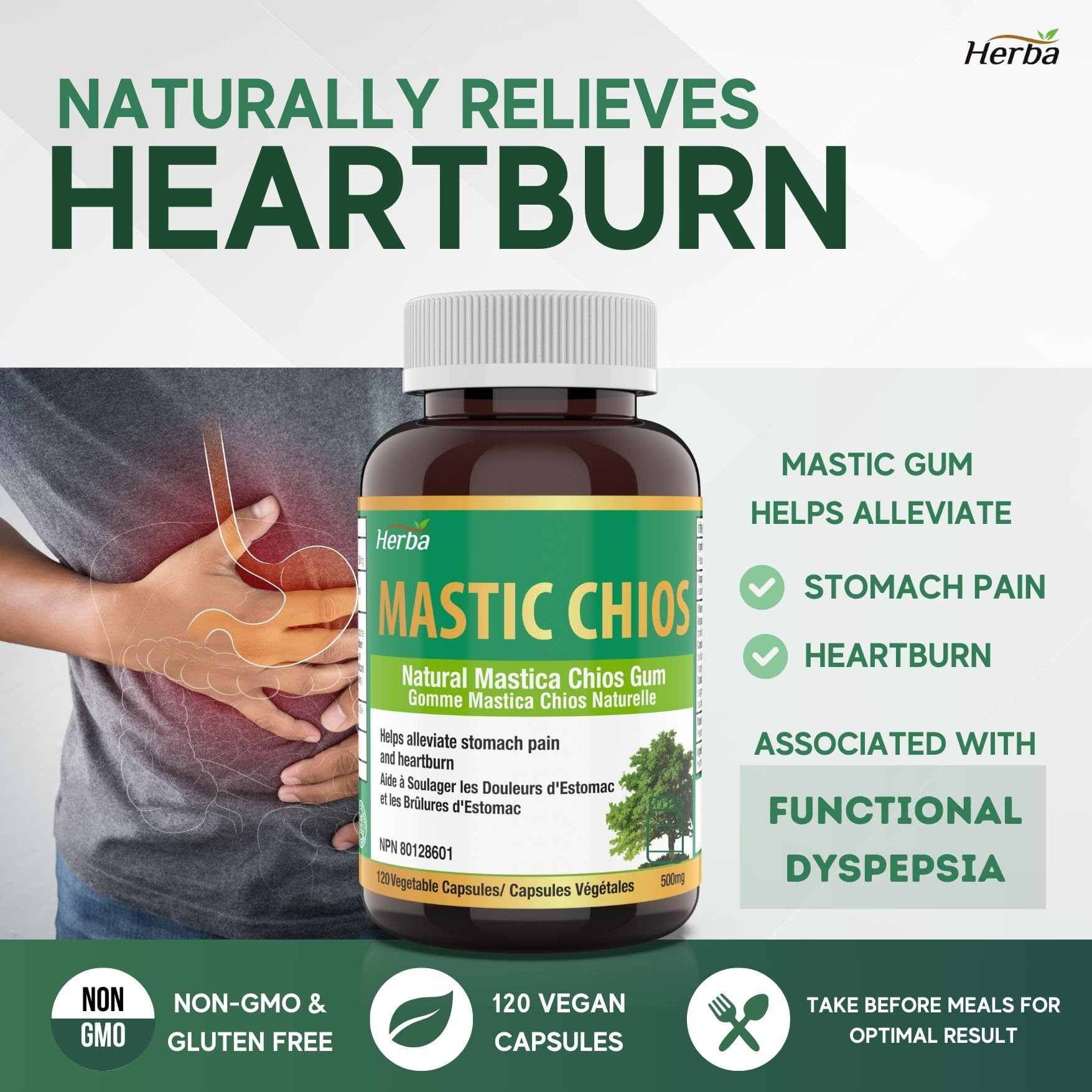 Mastic Gum 500mg - 120 Capsules | Made in Canada - Herba