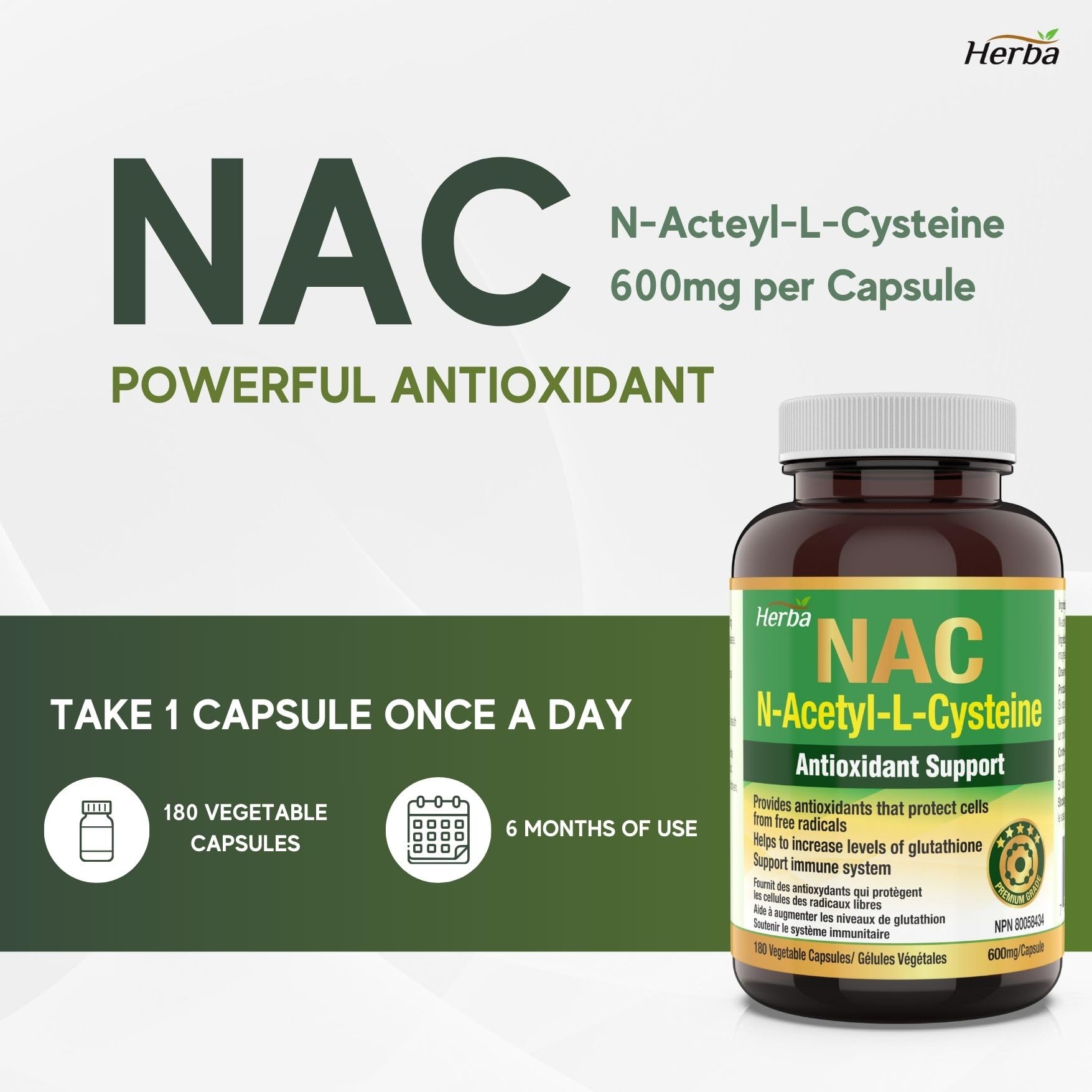 NAC Supplement 600 mg - 180 Capsules | N - Acetyl - L - Cysteine - Herba