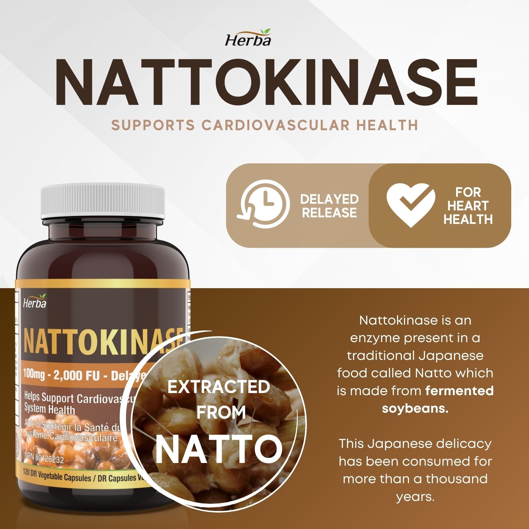 Nattokinase Supplement 2000 FU – 100mg, 120 Delayed Release Capsules - Herba