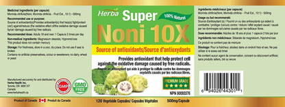 Natural Noni Capsules 10X - 120 Vegan Capsules | 10,000mg Per Day | 10:1 Concentration - Herba