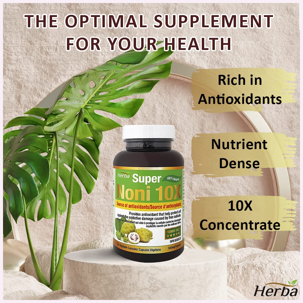 Natural Noni Capsules 10X - 120 Vegan Capsules | 10,000mg Per Day | 10:1 Concentration - Herba