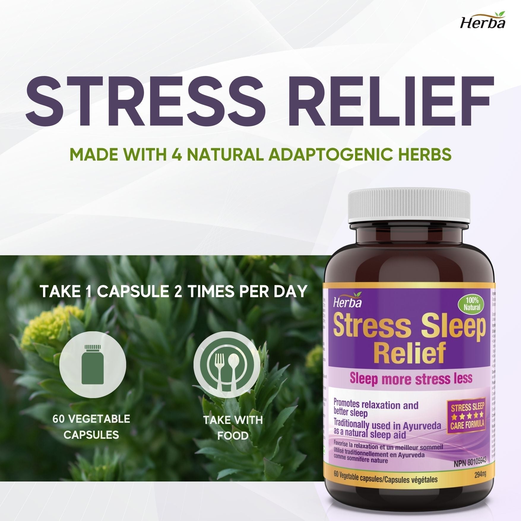 Natural Stress and Sleep Aids for Adult - Melatonin Free - 60 Capsules - Herba